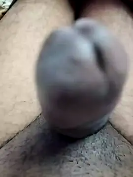 dick 01728 online show from 19, 1, 2025