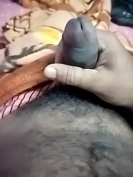 dick 01728 online show from 20, 11, 2025