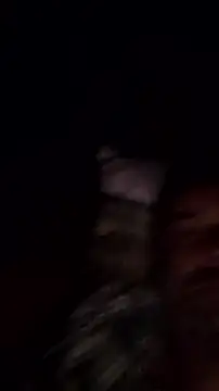 Gianlucazeis online show from 3, 6, 2026