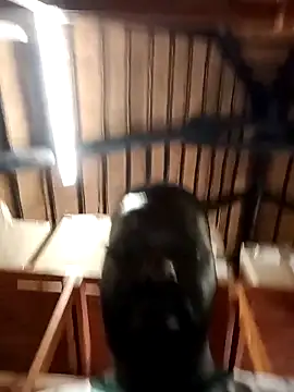 Touch mysoul online show from 26, 10, 2025