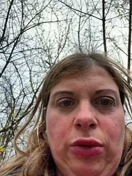 Lombada online show from 9, 11, 2025