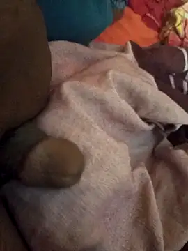 sadunt online show from 14, 3, 2026