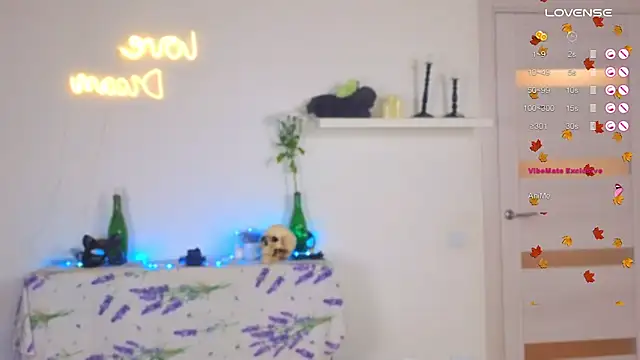 Snapshot of _yourFoxy_ chatting on 27, 10, 2025 yourFoxy online show from 27, 10, 2025