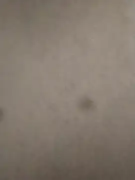 rohitlov150 online show from 23, 2, 2025