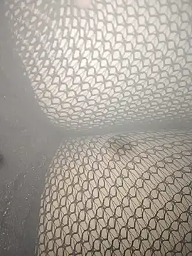 rohitlov150 online show from 2, 3, 2025