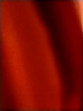 Snapshot of rohitlov150 chatting on 18, 12, 2025 rohitlov150 online show from 18, 12, 2025