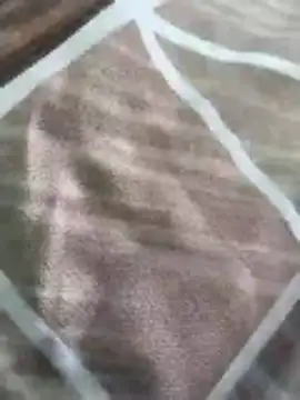 Snapshot of rohitlov150 chatting on 16, 3, 2026 rohitlov150 online show from 16, 3, 2026