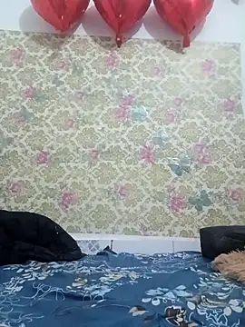 ks536191 online show from 24, 2, 2025