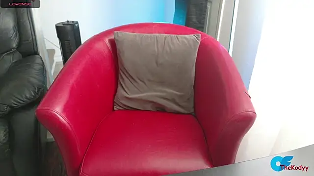 Snapshot of Thekodyy chatting on 6, 2, 2026 Thekodyy online show from 6, 2, 2026