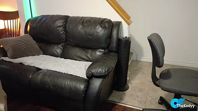 Snapshot of Thekodyy chatting on 4, 3, 2026 Thekodyy online show from 4, 3, 2026