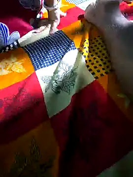 hotbaby 5 online show from 31, 1, 2025