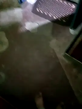 InboardHasek online show from 5, 12, 2024