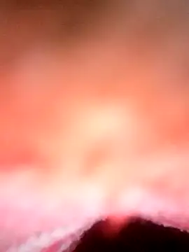 Avantika19 online show from 6, 1, 2025