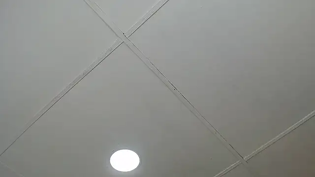 dannaberlin 0 online show from 8, 3, 2025