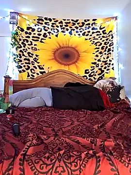 GoddessNikolia online show from 24, 2, 2026