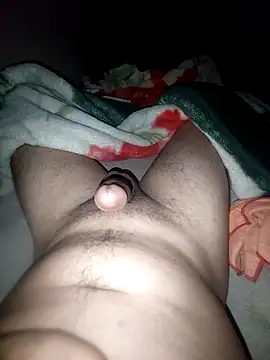 ch   ro69 online show from 29, 4, 2026