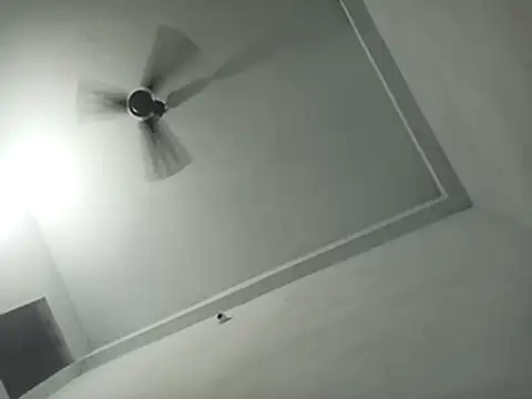 pintuS40 online show from 22, 1, 2025