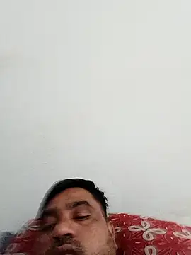 pintuS40 online show from 28, 4, 2026