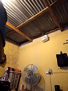 Snapshot of palaza11 chatting on 2, 12, 2025 palaza11 online show from 2, 12, 2025