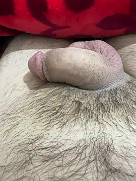 TheArabicGuyx online show from 25, 2, 2026