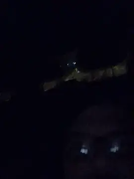 Snapshot of Watson4U chatting on 13, 12, 2024 Watson4U online show from 13, 12, 2024