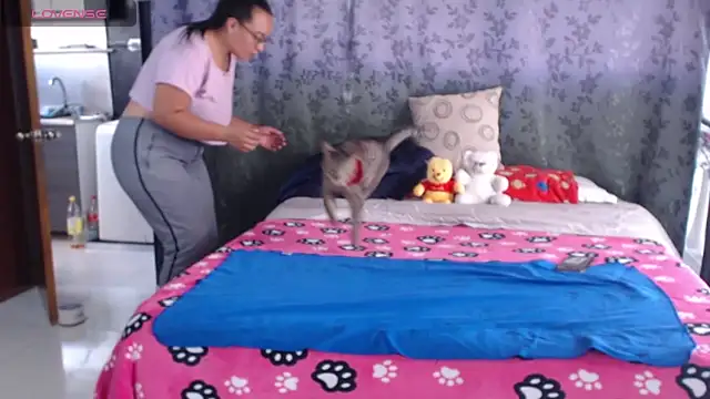 miia-big1boobs  online show from 22, 4, 2026