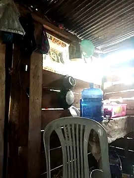 Huebolocko online show from 1, 1, 2025