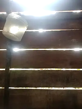 Huebolocko online show from 6, 1, 2025