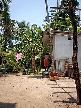 JOHN LEE DEREK online show from 19, 4, 2026