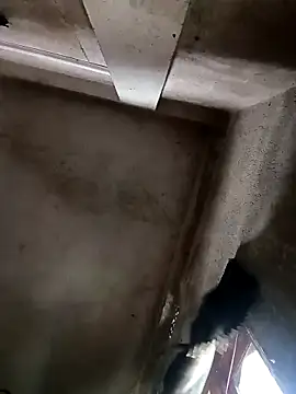 NICK IN online show from 30, 10, 2025