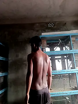 NICK IN online show from 1, 3, 2026