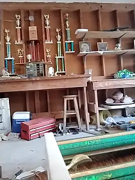 Buffshagswell online show from 11, 3, 2025