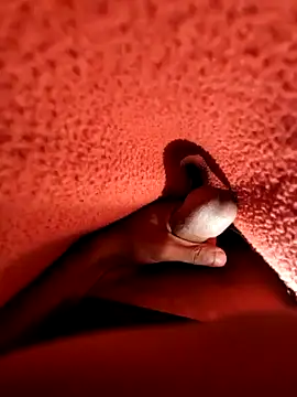 Ssdhaka11 online show from 25, 12, 2024