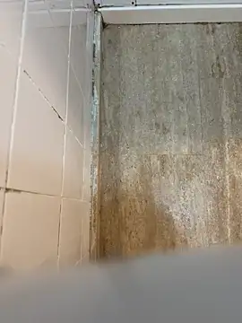 reelciii21 online show from 23, 3, 2025