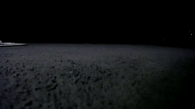 Niquitasparkles online show from 24, 1, 2025