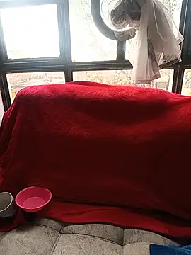 Tefannyy  online show from 17, 6, 2026