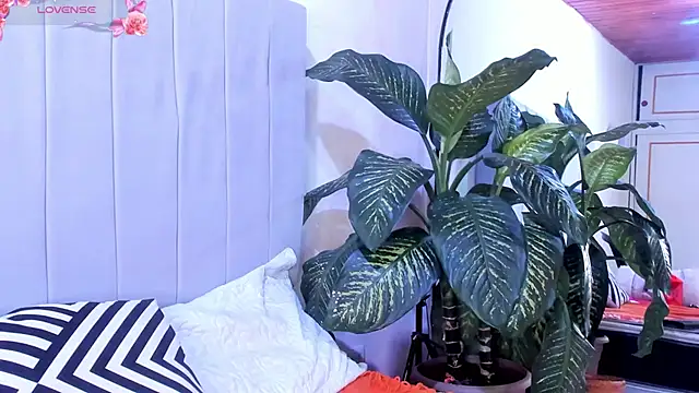 Snapshot of Mindy_sweety chatting on 6, 3, 2025 Mindy sweety online show from 6, 3, 2025