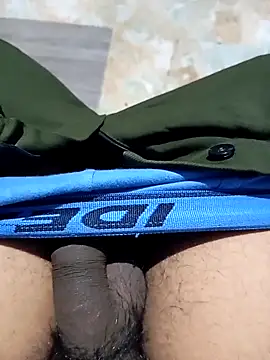 Andrapradesh online show from 1, 12, 2025