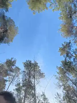 janberlin online show from 13, 3, 2026