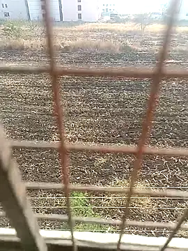 1010SumiT online show from 27, 1, 2025