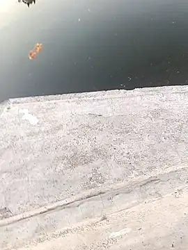 1010SumiT online show from 22, 3, 2025