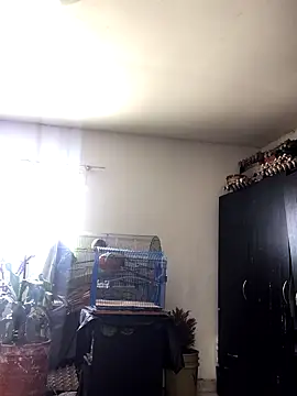 Miss oliviaa online show from 22, 10, 2025