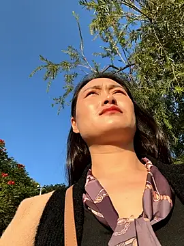 Lfeiji online show from 26, 11, 2025