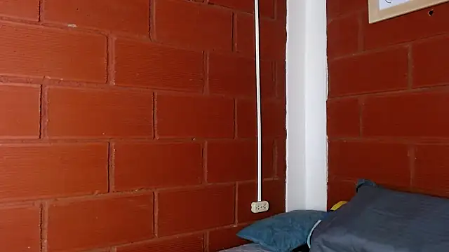 Priyalakshmi  online show from 13, 3, 2025