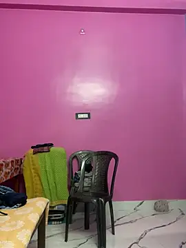 cute panda03 online show from 16, 1, 2025