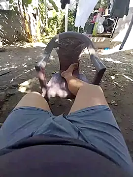 Whiper2024 online show from 22, 2, 2026