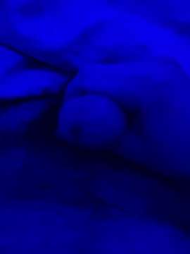 feuerfick online show from 10, 1, 2025