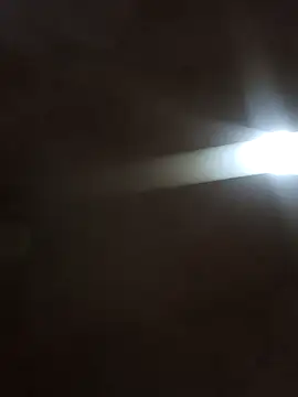  violetta - online show from 10, 10, 2025