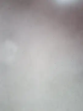  violetta - online show from 12, 10, 2025