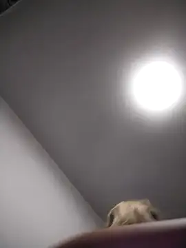 AudreySosa online show from 13, 3, 2025